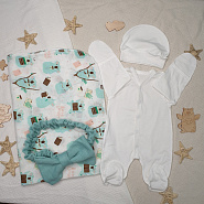 Арт. 451 Комплект на выписку "Коала", мята