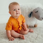 Д-38 Боди муслин, на кнопках, горчица