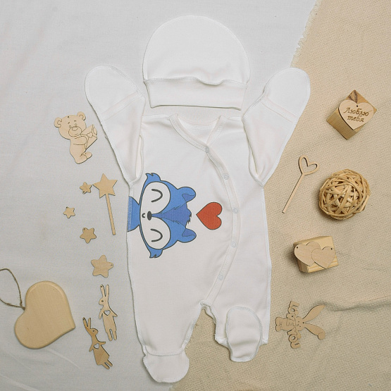 №М-497 Комбинезон с шапочкой на кнопках с принтом Енот