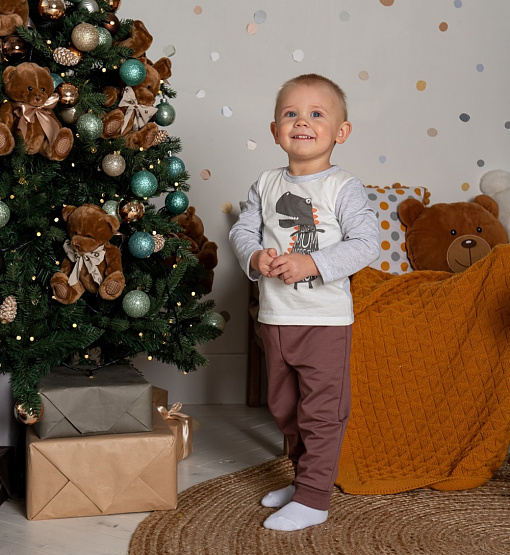 Брюки-джоггеры из футера двунитки арт. Т-103, коричневый