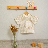 Ф-54 Кофта-реглан с коротким рукавом на кнопках