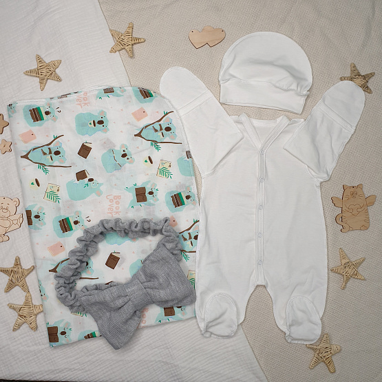 Арт. 451 Комплект на выписку "Коала", серый