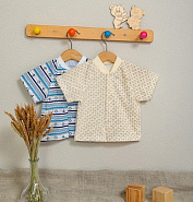 Ф-54 Кофта-реглан с коротким рукавом на кнопках