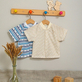 Ф-54 Кофта-реглан с коротким рукавом на кнопках 