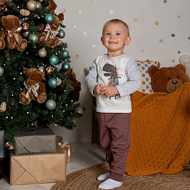 Брюки-джоггеры из футера двунитки арт. Т-103, коричневый